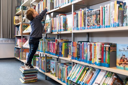 Copyright: Bibliothek Wesselburen